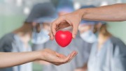 423 personas recibieron un trasplante este trimestre gracias a cifras récord de donación de órganos